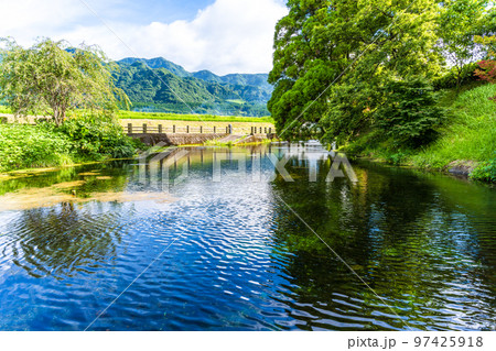 美しい南阿蘇村にある水源風景(小池水源)観光名所:名水百選の小池水源 美しい南阿蘇村にある水源風景(小池水源)観光名所:名水百選の小池水源 97425918