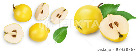 Fresh quince with half and slices isolated on the white background with full depth of field. Top view. Flat lay 97428767