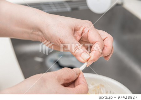 【もやしの根を取る】 【もやしの根を取る】 97428827