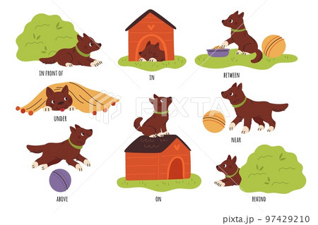 Kids English prepositions. Childish education. Cute puppy with objects. Dog plays with ball. Animal eats and sleeps in booth. Language vocabulary learning. Pet positions. Garish vector set Kids English prepositions. Childish education. Cute puppy with objects. Dog plays with ball. Animal eats and sleeps in booth. Language vocabulary learning. Pet positions. Garish vector set 97429210