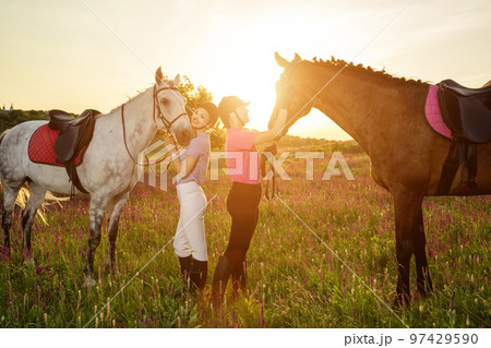 Two woman and two horses outdoor in summer happy sunset together nature 97429590