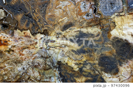 Beautiful petrified wood abstract pattern Beautiful petrified wood abstract pattern 97430096