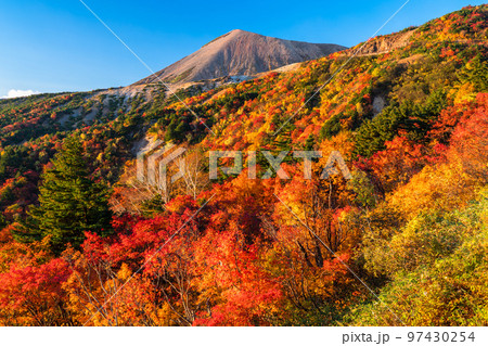 《福島県》紅葉の天狗の庭・秋の磐梯吾妻スカイライン《紅葉最盛期》 97430254