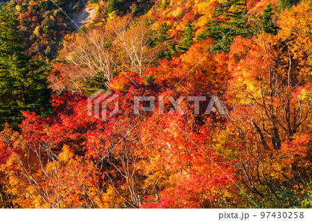 《福島県》紅葉の天狗の庭・秋の磐梯吾妻スカイライン《紅葉最盛期》 97430258