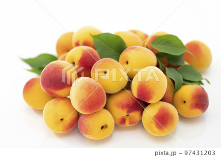 白バックの黄色く色付いた南高梅 97431203