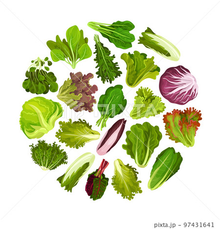 round green vegetables
