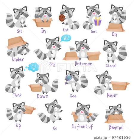 Cute Racoon Character with Striped Tail with Carton Box as English Word Demonstration Big Vector Set Cute Racoon Character with Striped Tail with Carton Box as English Word Demonstration Big Vector Set 97431656