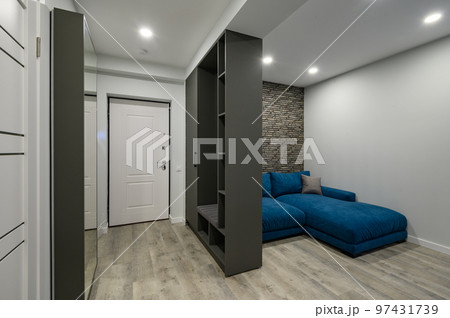 Entrance hall attached to small modern living room Entrance hall attached to small modern living room 97431739