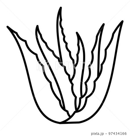 Aloe vera plant icon. Outline illustration of aloe vera plant vector icon for web design isolated on white background 97434166