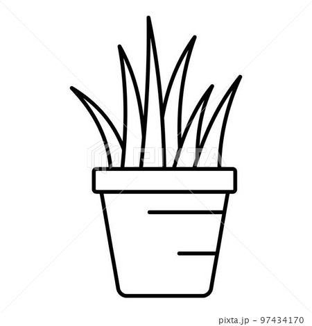 Aloe pot icon. Outline illustration of aloe pot vector icon for web design isolated on white background 97434170