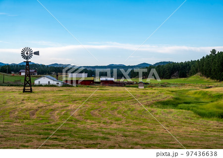 Rural homestead farmhouse in South Dakota with a windmill and hayfield.  97436638