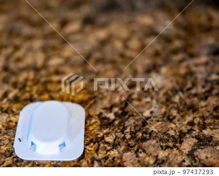 Ant trap poison bate on a granite kitchen countertop 97437293