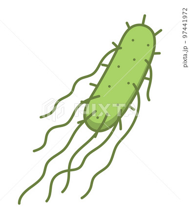 サルモネラ菌 サルモネラ菌 97441972