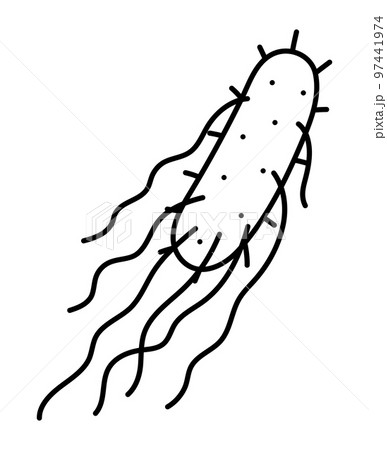 サルモネラ菌 97441974