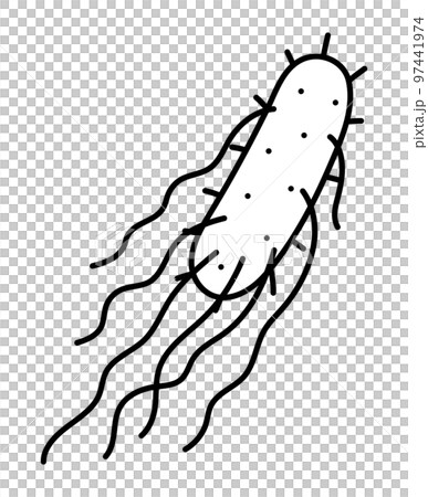 サルモネラ菌 97441974