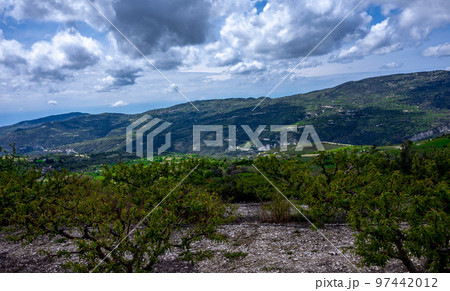 Citrus trees in a small village in the mountainous part of the island of Cyprus in early spring. Citrus trees in a small village in the mountainous part of the island of Cyprus in early spring. 97442012