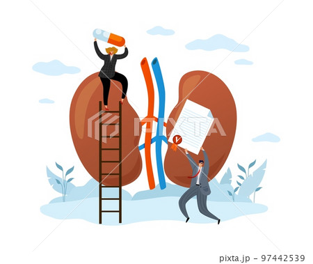 Anatomical and medical treatment of diseases of internal organs, kidneys. Study of system of pharmaceutical research and physiology of education. Tiny people vector cartoon flat concept Anatomical and medical treatment of diseases of internal organs, kidneys. Study of system of pharmaceutical research and physiology of education. Tiny people vector cartoon flat concept 97442539