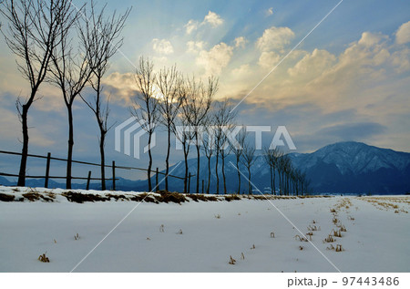 陽の光が綺麗に見える、冬の絶景 陽の光が綺麗に見える、冬の絶景 97443486