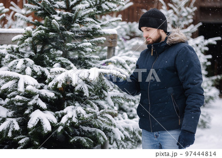 Handsome bearded man chooses a Christmas tree at the fair 97444814