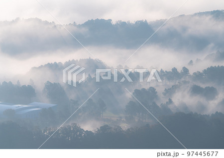 《千葉県》大雲海・九十九谷展望公園 97445677