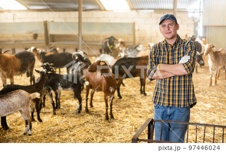 Portrait of positive male farmer standing with crossed hands on chest and smiling at camera on on cattle farm 97446024
