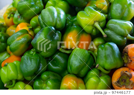 Screensaver with green pepper Screensaver with green pepper 97446177