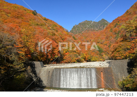山梨県山梨市三富川浦　西沢渓谷二俣吊橋からの紅葉に囲まれた砂防ダムの滝と後ろにひかえる鶏冠山 97447213