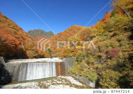 山梨県山梨市三富川浦 西沢渓谷二俣吊橋からの紅葉に囲まれた砂防ダムの滝と後ろにひかえる鶏冠山 山梨県山梨市三富川浦 西沢渓谷二俣吊橋からの紅葉に囲まれた砂防ダムの滝と後ろにひかえる鶏冠山 97447214