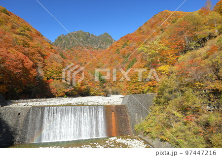 山梨県山梨市三富川浦　西沢渓谷二俣吊橋からの紅葉に囲まれた砂防ダムの滝と後ろにひかえる鶏冠山 97447216