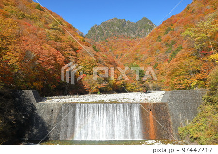 山梨県山梨市三富川浦　西沢渓谷二俣吊橋からの紅葉に囲まれた砂防ダムの滝と後ろにひかえる鶏冠山 97447217