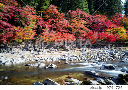 愛知県豊田市足助町 紅葉した秋の香嵐渓 愛知県豊田市足助町 紅葉した秋の香嵐渓 97447264