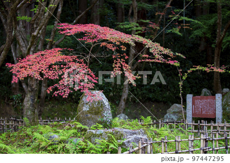 愛知県豊田市足助町 紅葉した秋の香嵐渓 愛知県豊田市足助町 紅葉した秋の香嵐渓 97447295