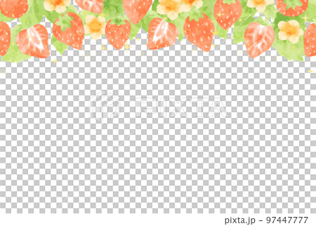Beautiful strawberry background illustration 97447777