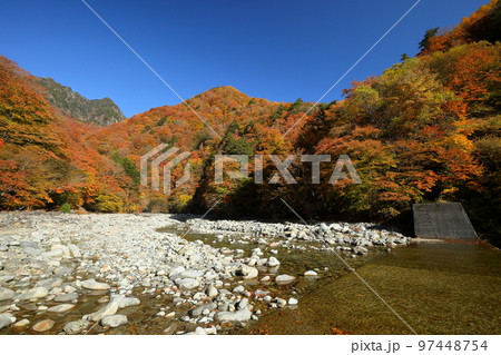 山梨県山梨市三富川浦　西沢渓谷二俣吊橋横の砂防ダムを囲む紅葉と後ろにひかえる鶏冠山 97448754