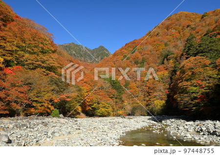 山梨県山梨市三富川浦　西沢渓谷二俣吊橋横の砂防ダムを囲む紅葉と後ろにひかえる鶏冠山 97448755