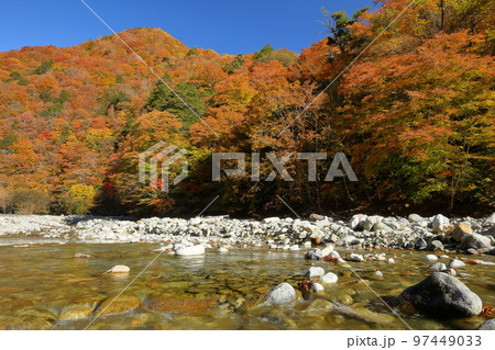山梨県山梨市三富川浦 西沢渓谷二俣吊橋横の紅葉に囲まれた砂防ダムと川の流れ 山梨県山梨市三富川浦 西沢渓谷二俣吊橋横の紅葉に囲まれた砂防ダムと川の流れ 97449033