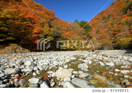山梨県山梨市三富川浦　西沢渓谷二俣吊橋横の紅葉に囲まれた砂防ダムと川の流れ 97449035