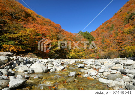 山梨県山梨市三富川浦 西沢渓谷二俣吊橋横の紅葉に囲まれた砂防ダムと川の流れ 山梨県山梨市三富川浦 西沢渓谷二俣吊橋横の紅葉に囲まれた砂防ダムと川の流れ 97449041