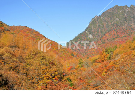 山梨県山梨市　西沢渓谷の散策道から見上げる山の紅葉と後ろにひかえる鶏冠山 97449364