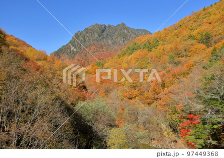 山梨県山梨市　西沢渓谷の散策道から見上げる山の紅葉と後ろにひかえる鶏冠山 97449368