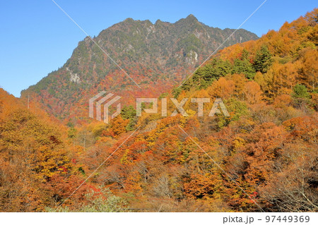 山梨県山梨市　西沢渓谷の散策道から見上げる山の紅葉と後ろにひかえる鶏冠山 97449369