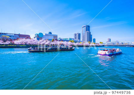 大阪 大川の桜と観光船 97449736