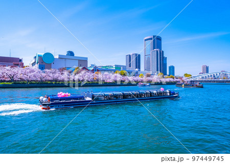 大阪 大川の桜と観光船 97449745
