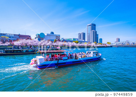 大阪 大川の桜と観光船 97449859