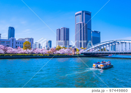 大川の桜と大阪アメニティーパーク 大川の桜と大阪アメニティーパーク 97449860