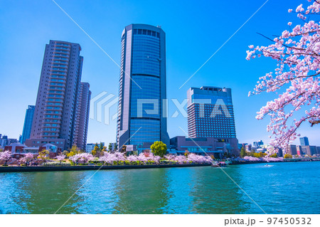 大川の桜と大阪アメニティーパーク 97450532