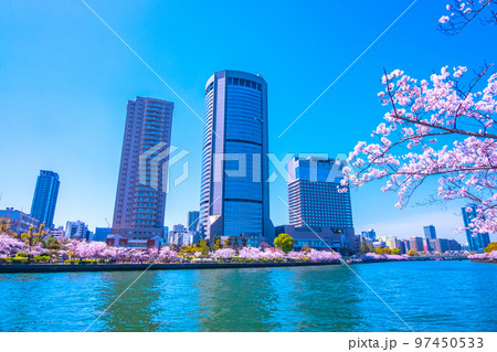 大川の桜と大阪アメニティーパーク 大川の桜と大阪アメニティーパーク 97450533