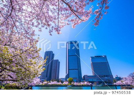 大川の桜と大阪アメニティーパーク 大川の桜と大阪アメニティーパーク 97450538