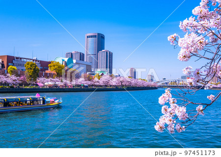 大阪 大川の桜と観光船 97451173