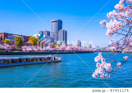 大阪 大川の桜と観光船 97451174